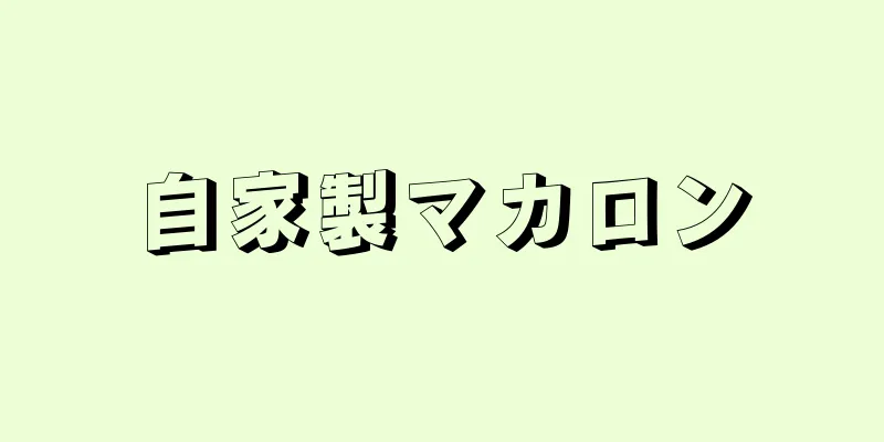 自家製マカロン