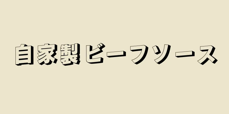 自家製ビーフソース