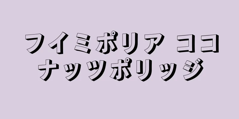 フイミポリア ココナッツポリッジ