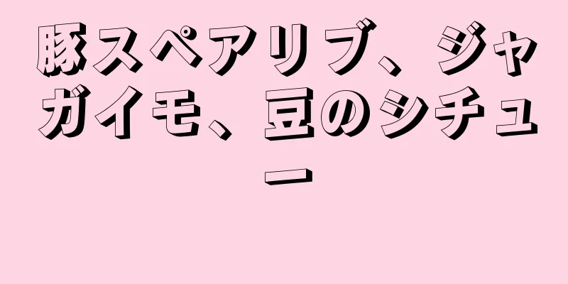 豚スペアリブ、ジャガイモ、豆のシチュー