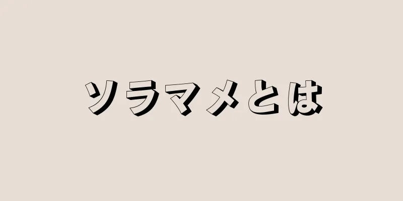 ソラマメとは