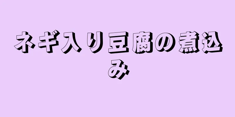 ネギ入り豆腐の煮込み