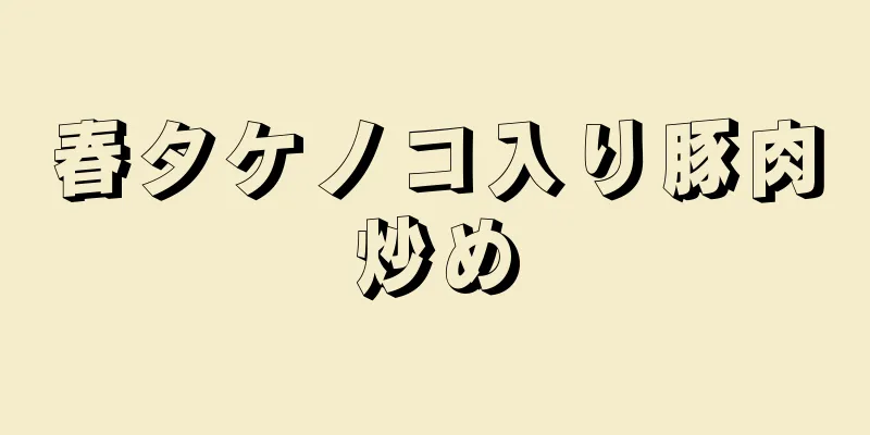 春タケノコ入り豚肉炒め