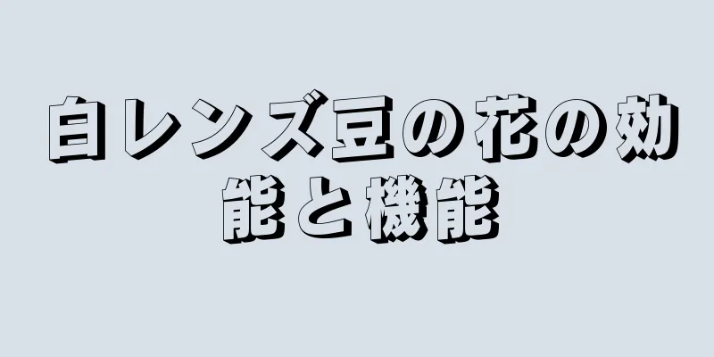 白レンズ豆の花の効能と機能