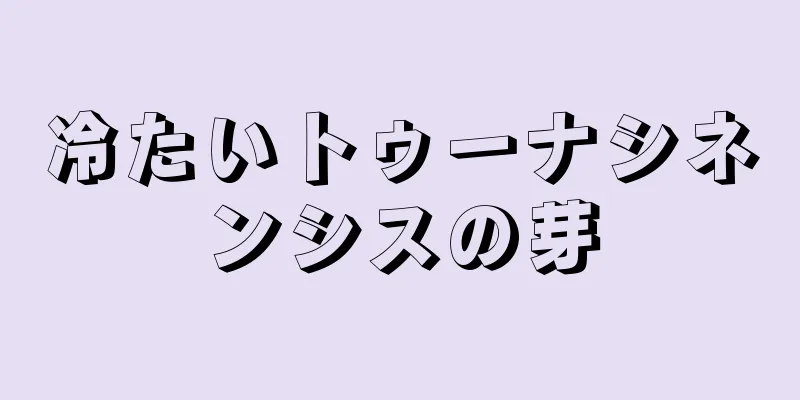 冷たいトゥーナシネンシスの芽