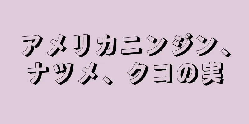 アメリカニンジン、ナツメ、クコの実