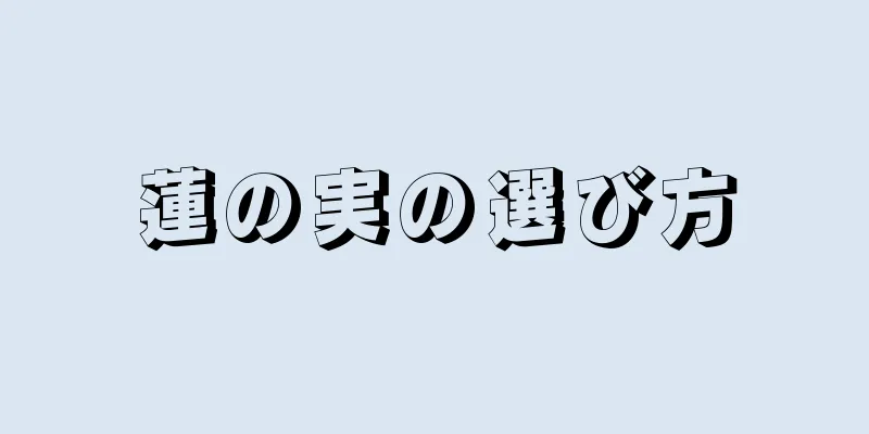 蓮の実の選び方