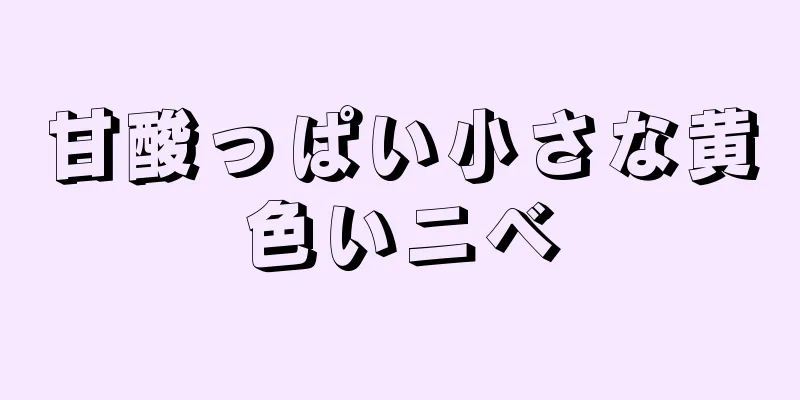 甘酸っぱい小さな黄色いニベ