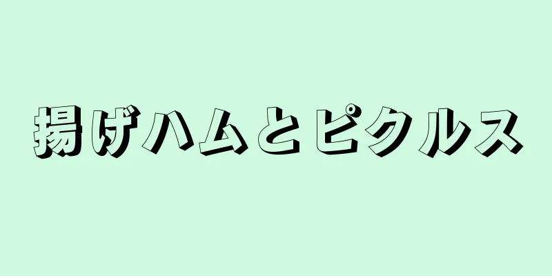 揚げハムとピクルス