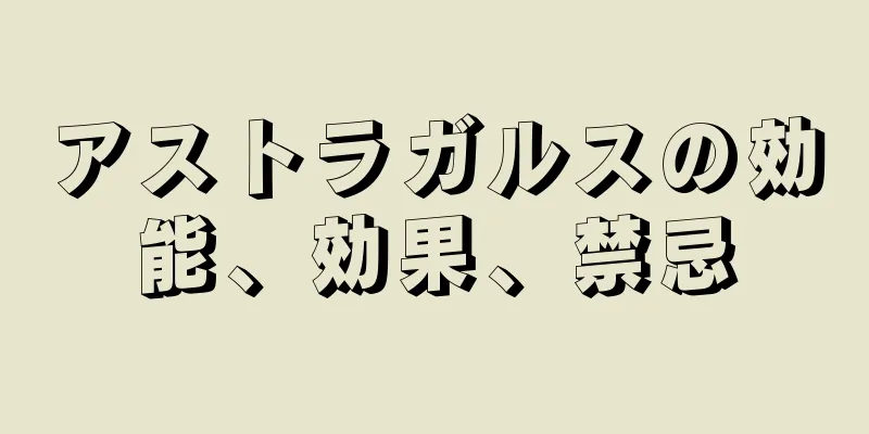 アストラガルスの効能、効果、禁忌