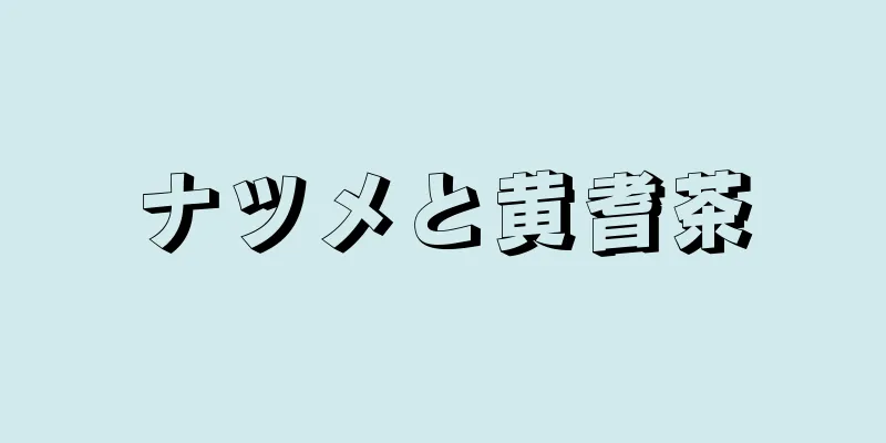 ナツメと黄耆茶