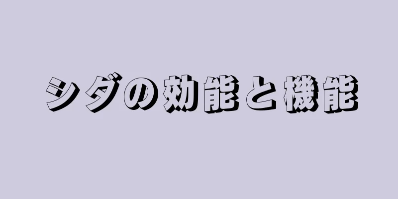 シダの効能と機能