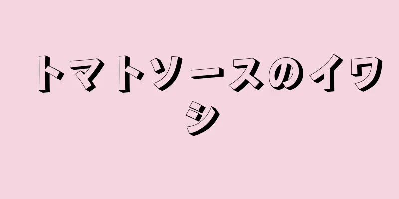 トマトソースのイワシ