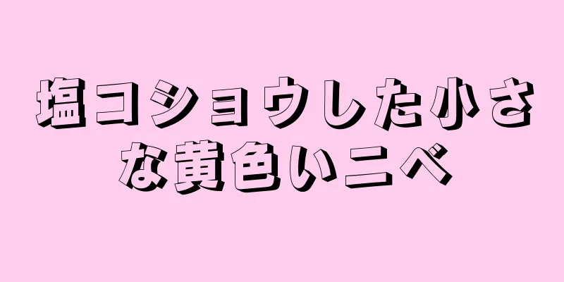 塩コショウした小さな黄色いニベ