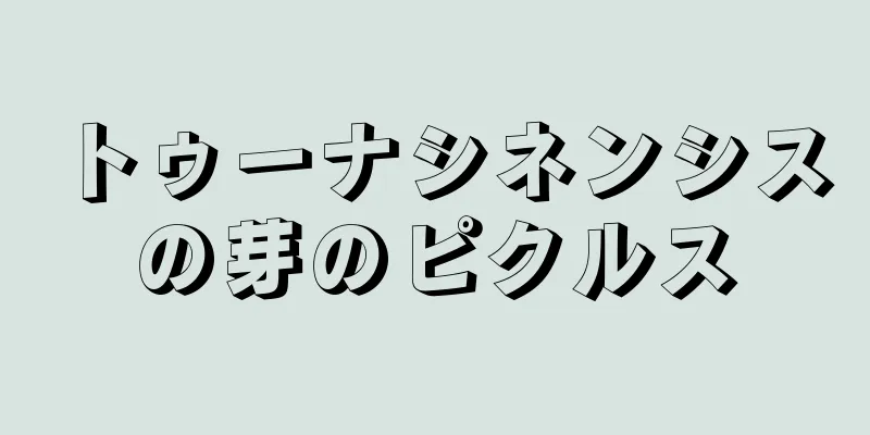 トゥーナシネンシスの芽のピクルス