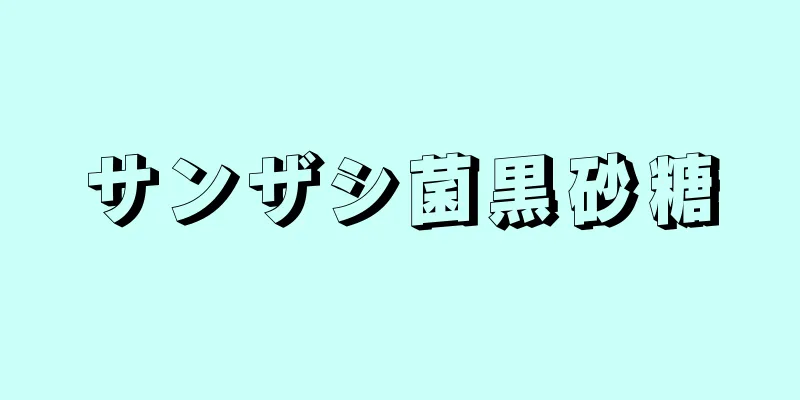 サンザシ菌黒砂糖