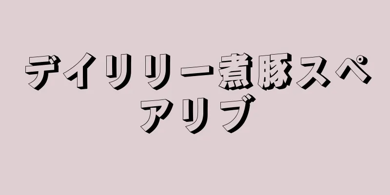 デイリリー煮豚スペアリブ