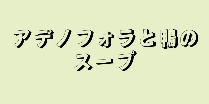 アデノフォラと鴨のスープ