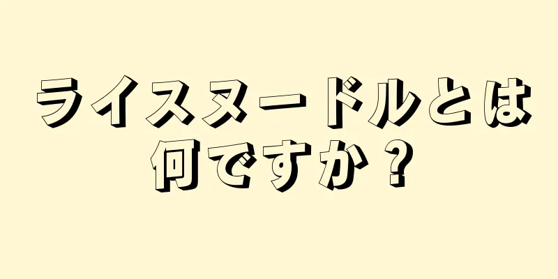 ライスヌードルとは何ですか？