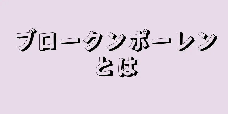 ブロークンポーレンとは