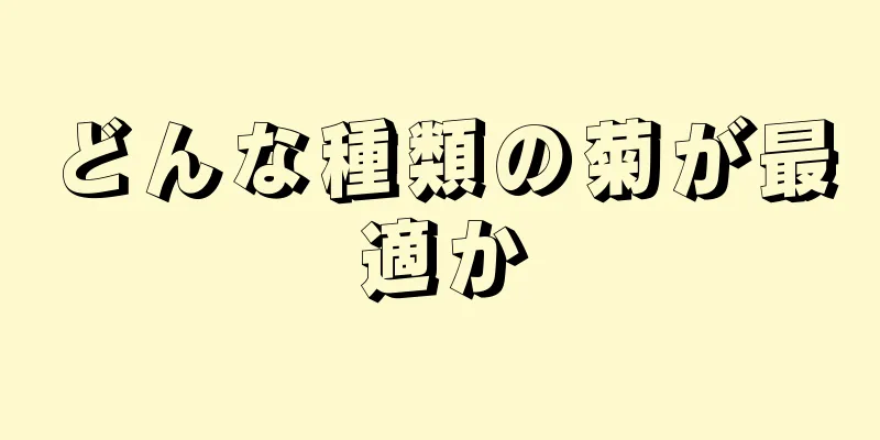 どんな種類の菊が最適か