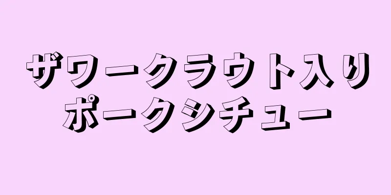 ザワークラウト入りポークシチュー