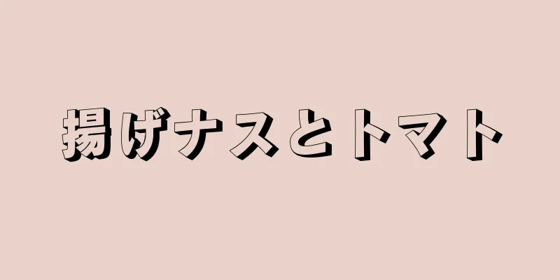 揚げナスとトマト