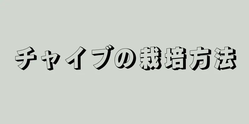 チャイブの栽培方法