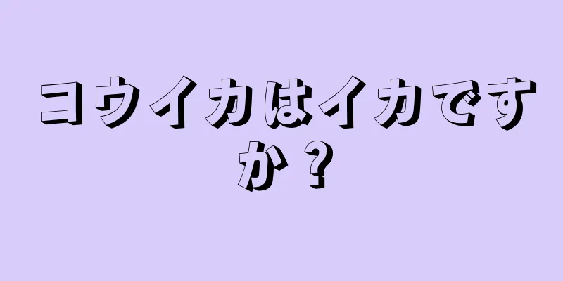 コウイカはイカですか？