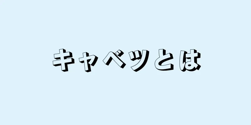 キャベツとは