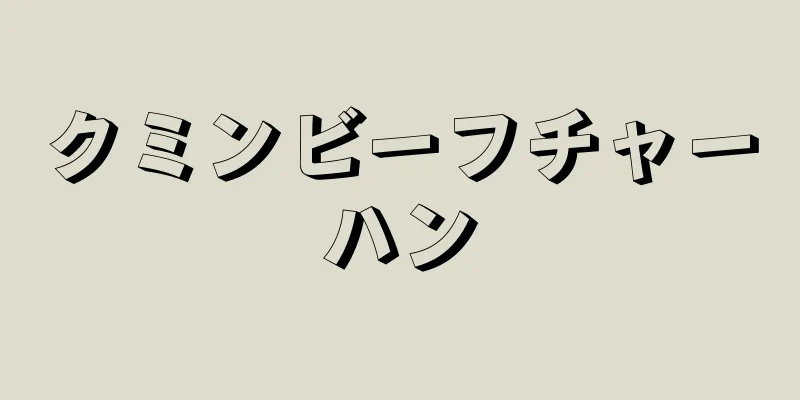 クミンビーフチャーハン