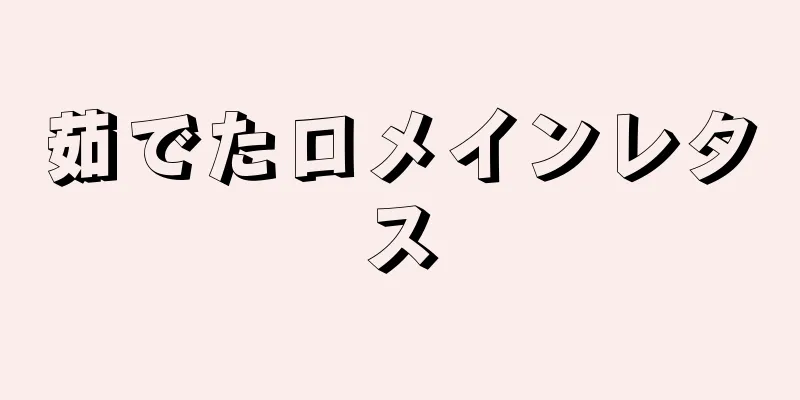 茹でたロメインレタス