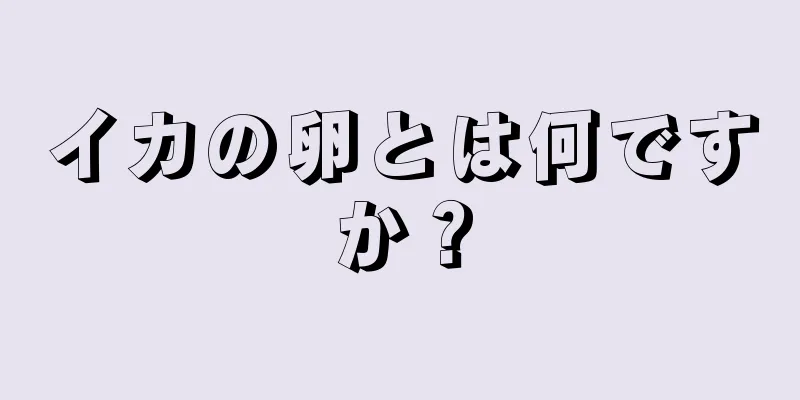 イカの卵とは何ですか？