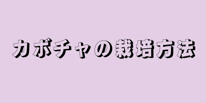 カボチャの栽培方法