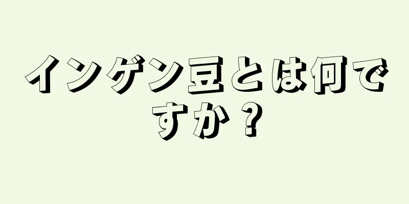 インゲン豆とは何ですか？