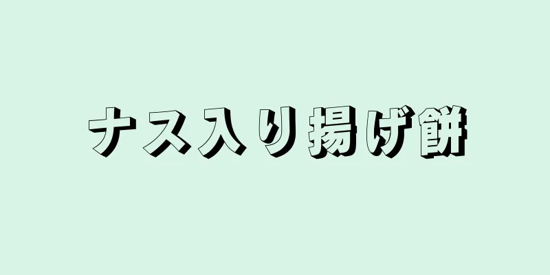 ナス入り揚げ餅