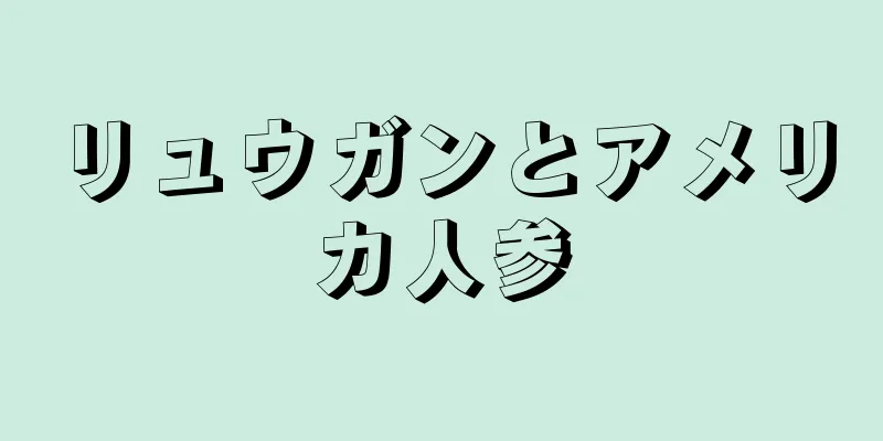 リュウガンとアメリカ人参