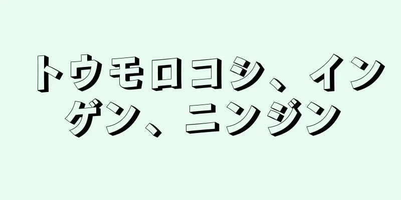 トウモロコシ、インゲン、ニンジン