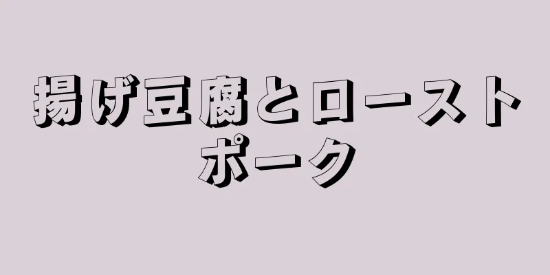 揚げ豆腐とローストポーク