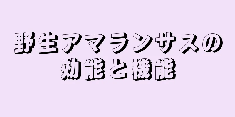 野生アマランサスの効能と機能