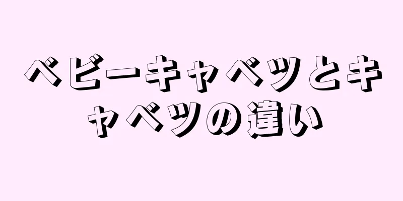 ベビーキャベツとキャベツの違い