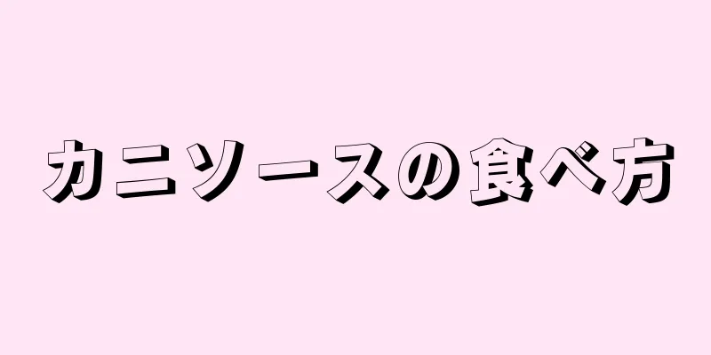 カニソースの食べ方