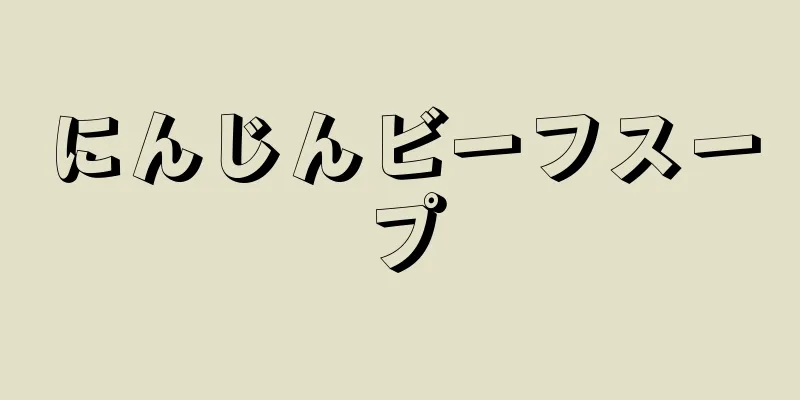 にんじんビーフスープ