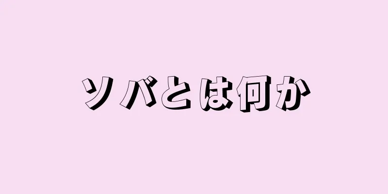 ソバとは何か