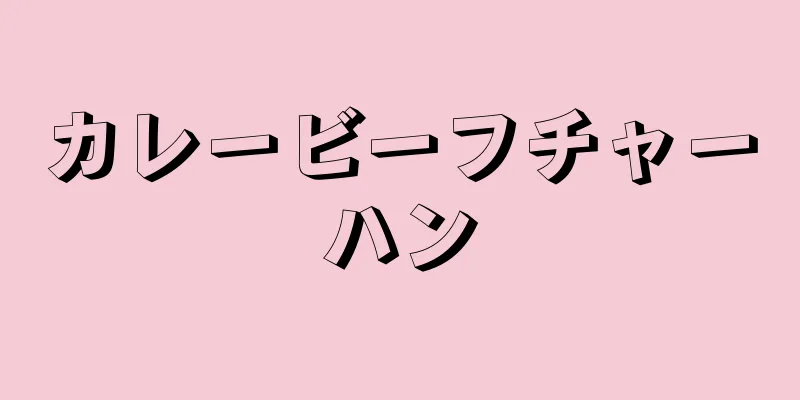 カレービーフチャーハン