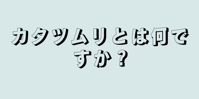 カタツムリとは何ですか？