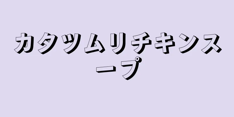 カタツムリチキンスープ