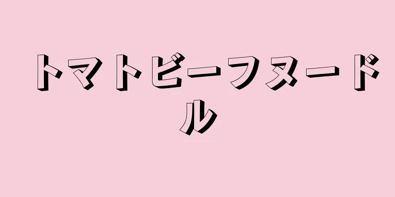 トマトビーフヌードル