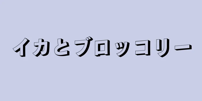 イカとブロッコリー