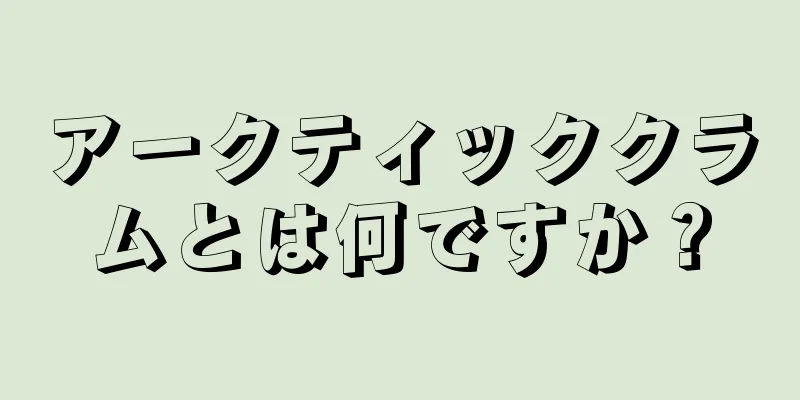 アークティッククラムとは何ですか？